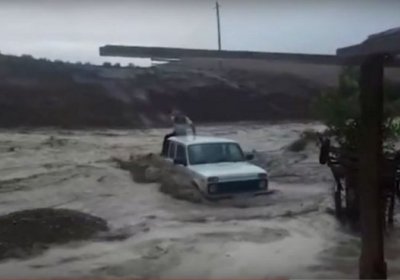 Sel kelishi Navoiy viloyati chorvadorlariga ham katta zarar yetkazdi (video) фото