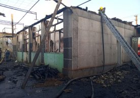 Фото: ФВВ ЁХББ матбуот хизмати 2019 йилнинг 11 сентябрь