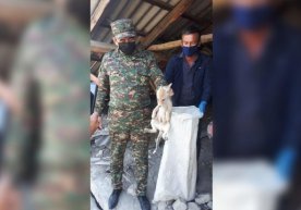 Farg‘onadagi uyda dudbo‘ronga tushib qolgan tulki bolalari qutqarildi фото