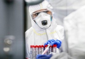 Мутахассис: Ўзбекистонда «британча» штамм тарқалди фото