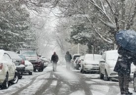 “Ўзгидромет” 19—23 январь кунларига об-ҳаво прогнозини
