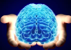 Une nouvelle étude menée par des scientifiques de