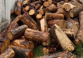 Яқин Шарқдаги можаро фонида Ҳиндистонда газ танқислиги