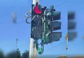 Бугун, 27 ноябрь куни Тошкент шаҳрининг Юнусобод