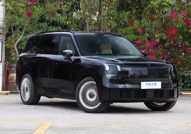 Лйнк & Cо компанияси Хитойда ўзининг йирик флагман