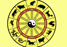 Хитой тақвимига ишонадиганлар учун янги қизиқ тема: қайси