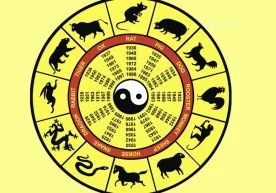 Xitoy taqvimiga ishonadiganlar uchun yangi qiziq tema: