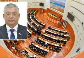 Сенатнинг Мудофаа ва хавфсизлик масалалари қўмитаси раиси,