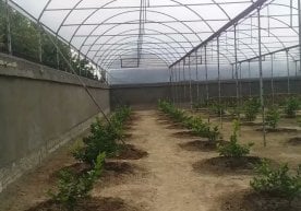 2026 йил 25 март куни қабул қилинган “Аҳолини куз-қиш