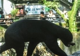 Хитойнинг Чжэцзян вилоятида жойлашган машҳур Ханчжоу