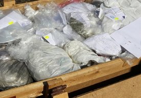 DXX 18 kg giyohvand moddani musodara qildi фото