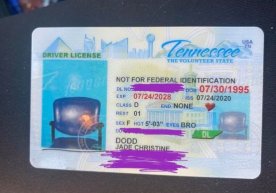 Amerikalik ayol stul surati tushirilgan haydovchilik guvohnomasi oldi фото