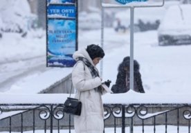 Ўзбекистонда олий, ўрта махсус ва касбий таълим