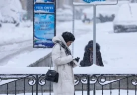 Ўзбекистонда олий, ўрта махсус ва касбий таълим