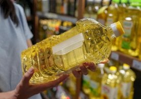 Бугун дўконларда турли хил ёғларни учратиш мумкин: