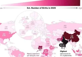 According to the UN, forecasts for the world's