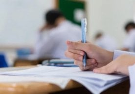 Олий таълим муассасалари бакалавриат йўналишларига кириш