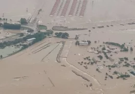 Фото: ФВВ Ўзбекистон Фанлар академияси Зоология институти