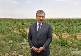Шавкат Мирзиёев оммавий ахборот воситалари ходимларини