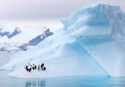 Антарктида қирғоқларида кучли зилзила юз берди фото