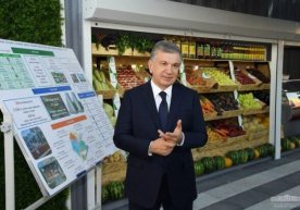 Shavkat Mirziyoyev Sergelidagi mavze o‘rnida yangi tuman tashkil etishni taklif qildi (foto) фото