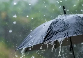 Ўзгидромет маълумотига кўра, 3 январь куни Ўзбекистоннинг