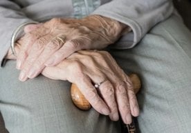 Виржиния университети тадқиқотчилари ўтказган 17 йиллик