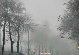 O‘zgidromet 5 yanvar kuni uchun ob-havo prognozini e’lon