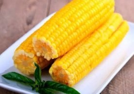 Маккажўхори дунёнинг кўплаб мамлакатларида мавсумий ва