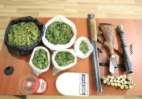 “Marixuana” giyohvandlik moddasi hamda ov quroli va patronlar fosh etildi фото