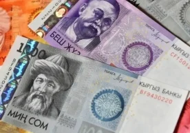 В Кыргызстане, в период с января по октябрь 2025 года,