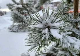 Ўзгидромет 30 январь куни учун об-ҳаво маълумотларини