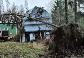 Finlyandiyada tarixda birinchi marta dovul kuzatildi фото