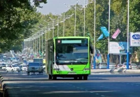 Тошкент шаҳрида 8 август кунидан бошлаб 71, 74, 97, 114,