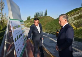 Shavkat Mirziyoyev Toshkentning Yangi O‘zbekiston ko‘chasidagi obodonlashtirish loyihalari bilan tanishdi фото