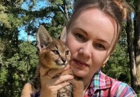 Мушуклар оламидаги ноёб кашфиётлардан бири — Каракат зоти
