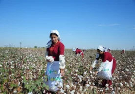 Фото: «Тукменистан Золотой век» Туркманистон ҳукумати