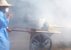 Жаҳонда 2025 йил бошидан буён чикунгуня безгаги билан