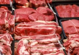 Дунё мамлакатлари орасида қорамол, чўчқа, товуқ ва қўй