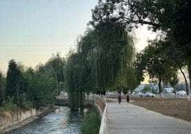 Ўзбекистонда ёз фаслининг сўнгги ойи аста-секин кузга йўл
