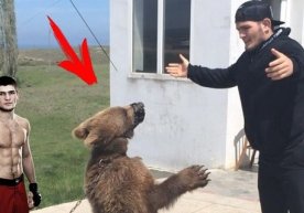 Буюк Британиянинг PETA ҳайвонларни химоя қилиш жамияти