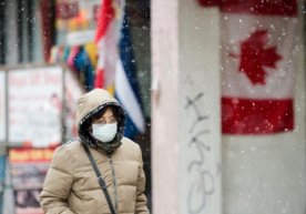 Foto : Torontosun Xitoylik olimlar yangi turdagi