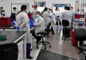 Olimlar koronavirus mutatsiyasining vaksinani qabul qilishga kirishuvchanligi kuchli ekanini bildirdi фото
