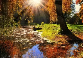 Ўзгидромет эртанги, 18 ноябрь кунига мўлжалланган об-ҳаво