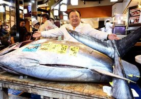 Японияда йилнинг анъанавий илк туна аукциони яна бир бор