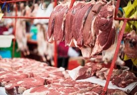 Қозоғистон ички бозорида мол гўшти нархларининг кўтарилиши