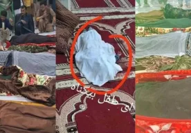 Kollaj: “Daryo” Afg‘onistonning Hirot viloyatida 29 aprel