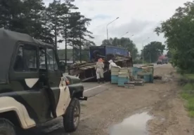 Krasnodar-Novorossiysk yo‘lida asalari qutilari ortilgan