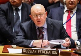 © Sputnik / Нэнси Сисель Россиянинг БМТдаги доимий вакили
