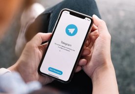 Telegram мессенжерида биринчи марта расмий «Фактлар